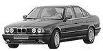 BMW E34 P2487 Fault Code